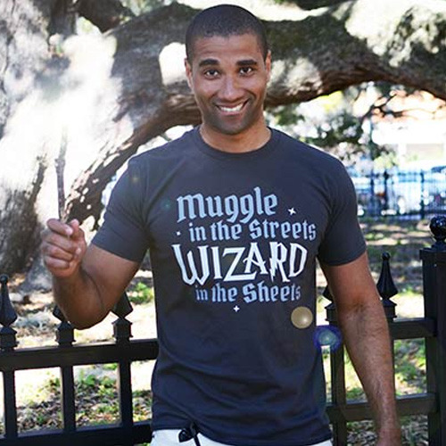 Muggle in the Streets Wizard in the Sheets T-Shirt