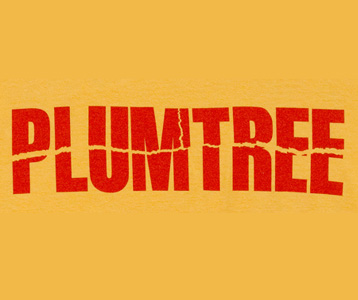 plumtree t shirt scott pilgrim