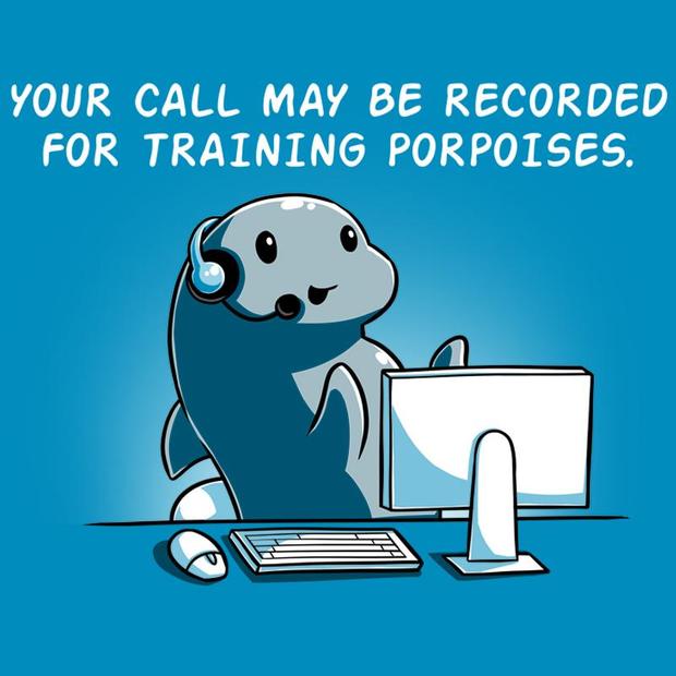 porpoise