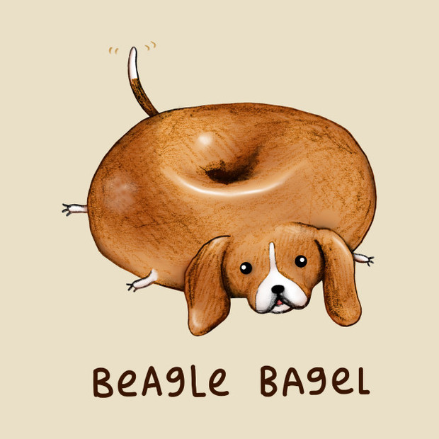 beagle