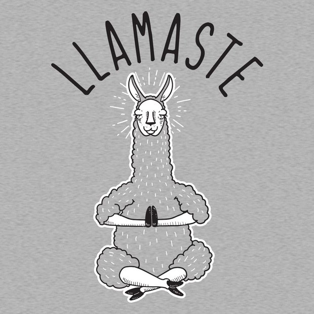 llama