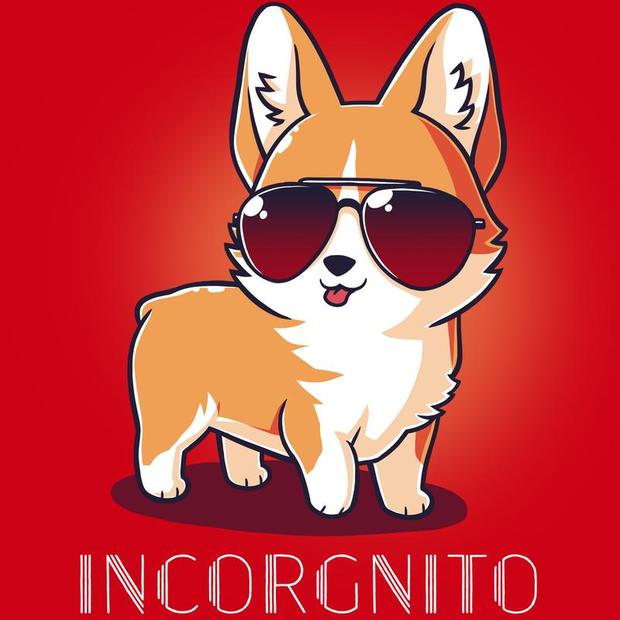 Corgi