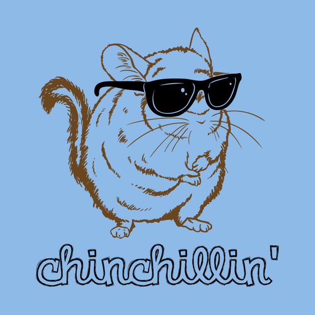 Chinchilla